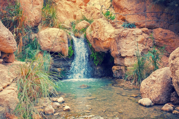 Der untere Wasserfall im Ein Gedi Reservat, Israel