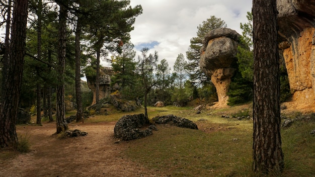 Der verzauberte Stadtnaturpark, Gruppe schändliche Formkalksteinfelsen in Cuenca, Kastilien-La Macha, Spanien.