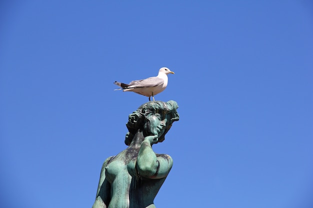 Der Vogel auf dem Denkmal