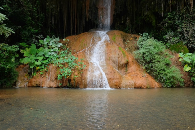 Der Wasserfall, der über Felsen im Wald und in der Strömung kaskadiert, strömen in das wilde in Thailand