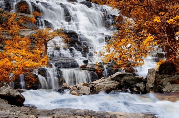 Der Wasserfall fließt durch den gelben Baumstamm.