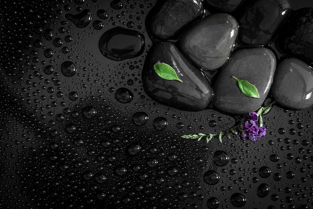 Der Wasserregentropfen mit Steinen auf glänzendem Luxusschwarzem und kleinem frischem grünem Blatt