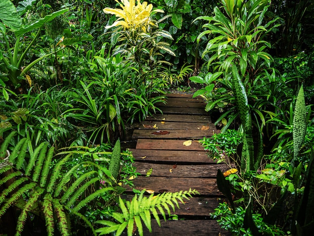 Der Weg im Garten ist belebend.