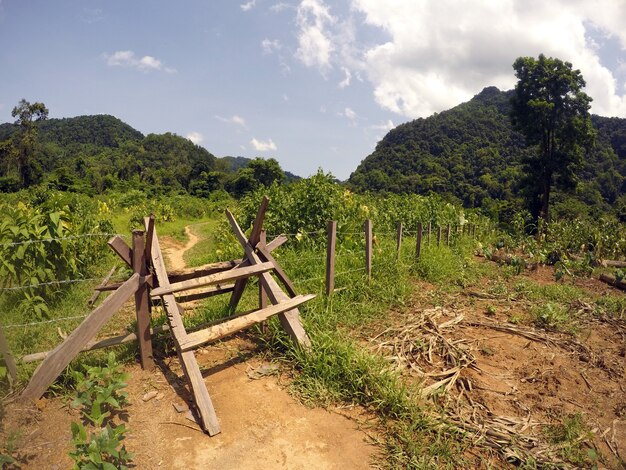 Der Weg zu Hang En Höhle in Phong, Nha, Vietnam