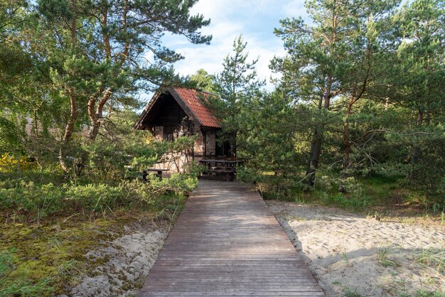 Der Weg zum Haus im Wald