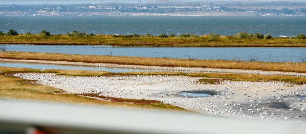 Der Weg zur Krim über die Krimbrücke Blick aus dem Autofenster auf den Küstenstreifen der Bucht von Kertsch auf das Meer und die Möwen