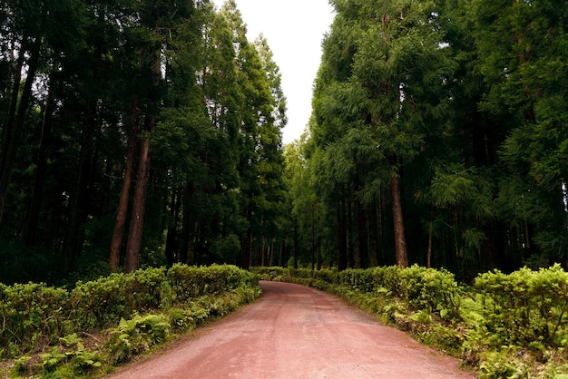 Der Weg zur Meditation