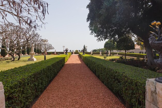 Der Weg zwischen den Pflanzen der Bahai-Gärten