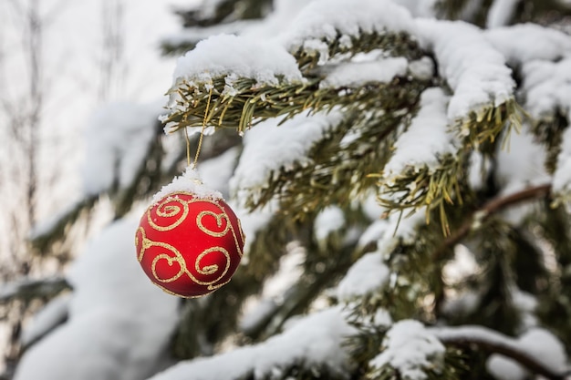 Der Weihnachtsball hängt an einem mit Schnee bedeckten Winterbaum im Wald