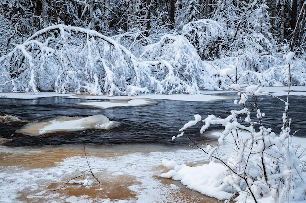 Der wild zugefrorene kleine Fluss im Winterwald die wilde Natur bei Sonnenuntergang der Fluss aus rotem Eis ...