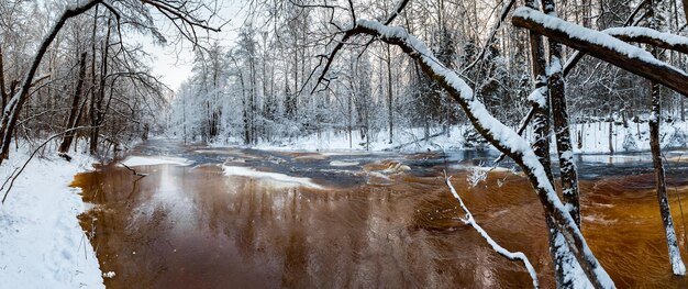 Der wild zugefrorene kleine Fluss im Winterwald die wilde Natur bei Sonnenuntergang der Fluss aus rotem Eis ...