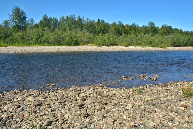 Der wilde nördliche Fluss