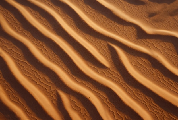 Der Wind erzeugt Wellen im Sand.