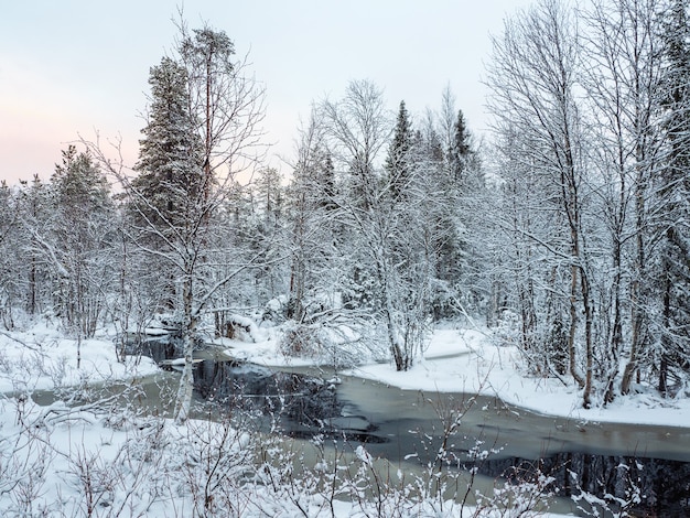 Der Wintergebirgsfluss in Karelien fließt durch den Wald. Die Kraft der wilden majestätischen Natur.