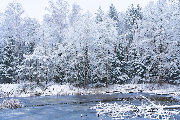 Der Wintersee gefriert im Wald