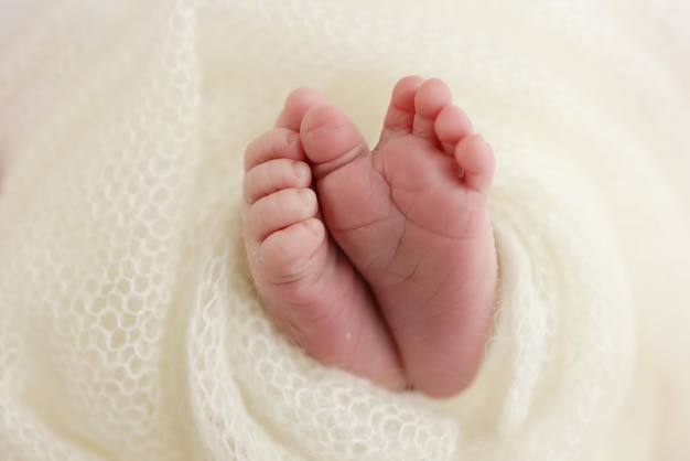 Der winzige Fuß eines neugeborenen Babys Weiche Füße eines Neugeborenen in einer weißen Wolldecke Nahaufnahme von Zehen, Fersen und Füßen eines Neuborenen Strickweißherz in den Beinen eines Babys Makrofotografie