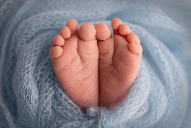Der winzige Fuß eines Neugeborenen Weiche Füße eines Neugeborenen in einer blauen Wolldecke Nahaufnahme der Zehen, Fersen und Füße eines neugeborenen Babys Studio Makrofotografie Woman39s Glück