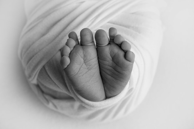 Foto der winzige fuß eines neugeborenen. weiche füße eines neugeborenen in einer decke. nahaufnahme von zehen, fersen und füßen eines neugeborenen. studio-makrofotografie. das glück der frau. fotografie, konzept. schwarz und weiß.