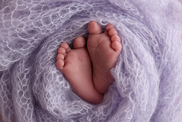 Der winzige Fuß eines Neugeborenen, weiche Füße eines Neugeborenen in einer lila-violetten Wolldecke, Nahaufnahme von Zehen, Fersen und Füßen eines Neugeborenen, Makrofotografie