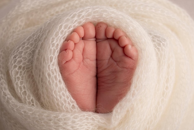 Der winzige Fuß eines Neugeborenen Weiche Füße eines Neugeborenen in einer weißen Wolldecke Nahaufnahme der Zehen, Fersen und Füße eines neugeborenen Babys Studio Makrofotografie Woman39s Happiness Concept