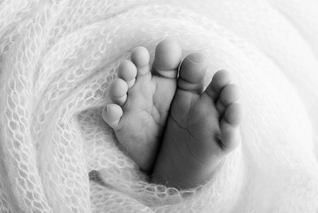 Der winzige Fuß eines Neugeborenen Weiche Füße eines Neugeborenen in einer Wolldecke Nahaufnahme der Zehen, Fersen und Füße eines neugeborenen Babys Studio-Makro-Schwarzweißfotografie Woman39s Glück