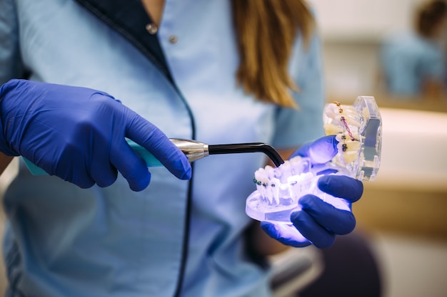 Der Zahnarzt demonstriert das Dental Ultraviolet Curing Light Tool an einem künstlichen Kiefer