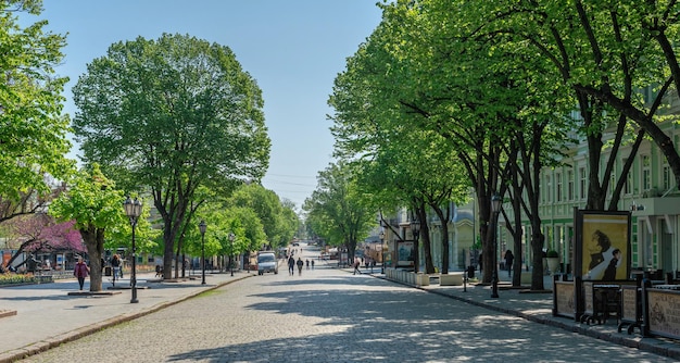 Deribasovskaya-Straße nahe dem Stadtgarten von Odessa Ukraine