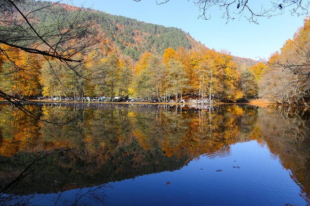 Derin See im Nationalpark Yedigoller Bolu Türkei