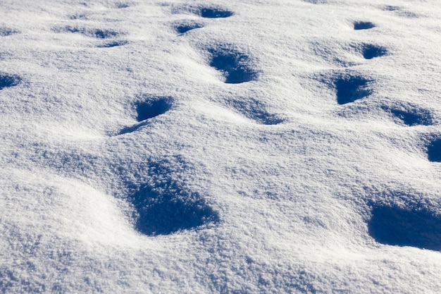 Foto deriva después de las nevadas