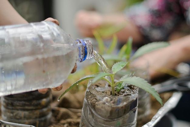 Derrame de agua de una botella para regar una planta en un jardín urbano