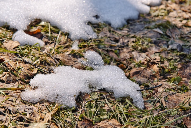 Derretimiento de la nieve en los campos a principios de la primavera Fondo de manantial natural Enfoque selectivo