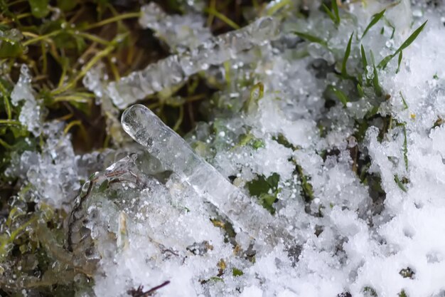 Foto derretimiento de la nieve y el hielo sobre la hierba en el bosque salvaje cambio de temporada en la naturaleza