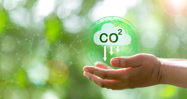 Desarrollar conceptos de CO2 sostenibles y reducir las emisiones de CO2 y la huella de carbono para limitar el calentamiento global y el cambio climático Gestión ambiental sostenible Invernadero a partir de energías renovables