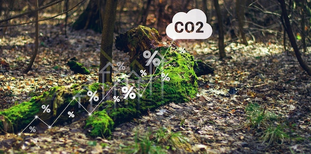 Foto el desarrollo sostenible y los negocios verdes basados en energías renovables reducen las emisiones de co2