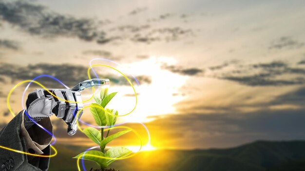 Desarrollo de tecnología de robots futuristas inteligencia artificial IA tocar pequeña planta en el fondo del amanecer