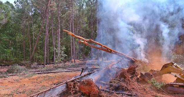 Con desastre ecológico un tractor lleno de arena es para disparar en los incendios forestales