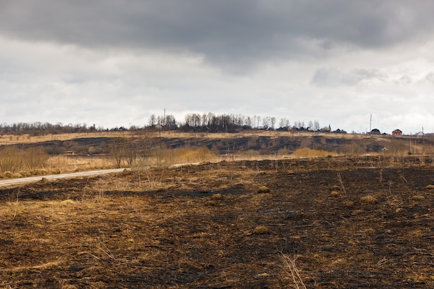 Desastrosas consecuencias de los incendios forestales