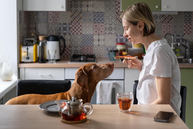 El desayuno de una mujer madura positiva sola y ligeramente sonriente mira al amado perro que pide comida