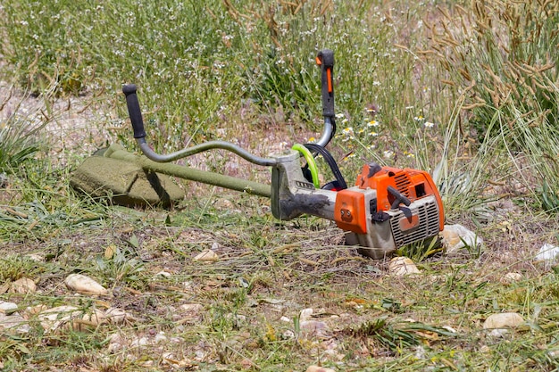 desbrozadora, cortando malezas en un jardín