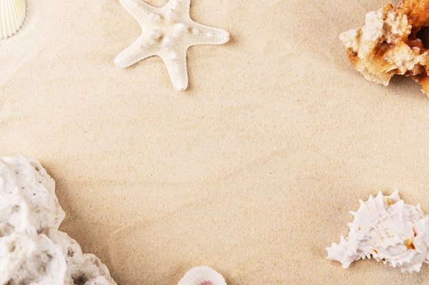 Foto descansando en la playa de arena dorada. fondo de verano con corales y estrellas de mar.