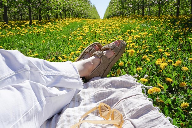 Descanse en el jardín de manzanas floreciente del parque de verano en primavera