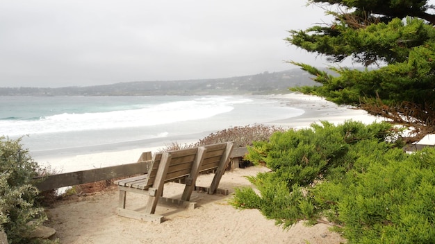 Descanso vazio do banco de madeira na trilha da trilha do oceano praia da califórnia árvores da costa