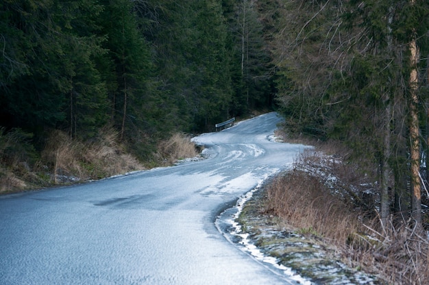 Descida íngreme. Estrada molhada na floresta