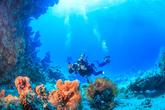 Descubrimiento de la belleza del mundo submarino del Mar Rojo.