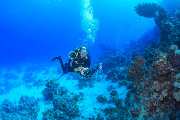 Descubrimiento de la belleza del mundo submarino del Mar Rojo.