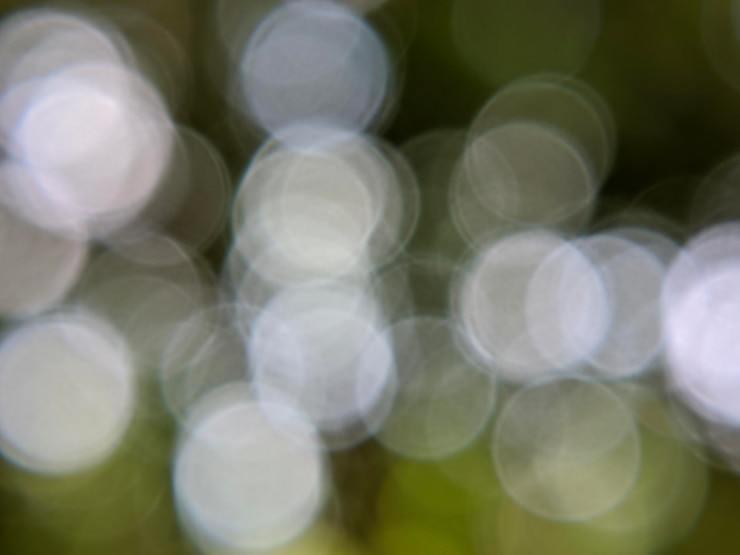 Foto desdibujar el fondo abstracto del concepto de medio ambiente natural