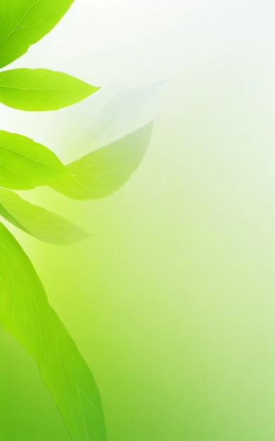 desdibujar el fondo abstracto verde natural