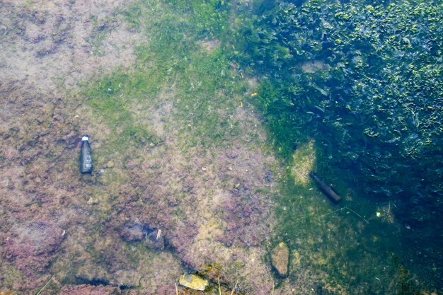 Desembocadura de río contaminada por basura generada por humanos