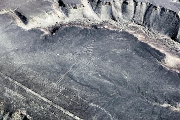 Desenhando beija-flores para o deserto de Nazca