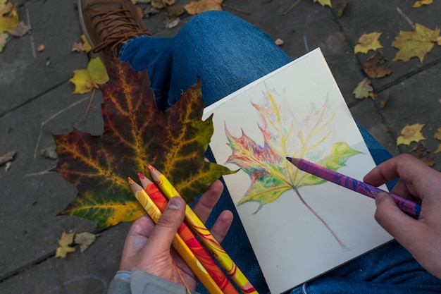 Desenhando um esboço rápido de folhagem de outono
